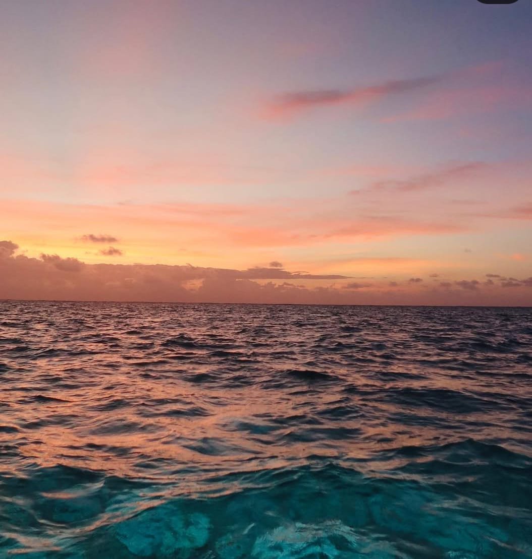 Tour Amanecer en Ponton - Image 5