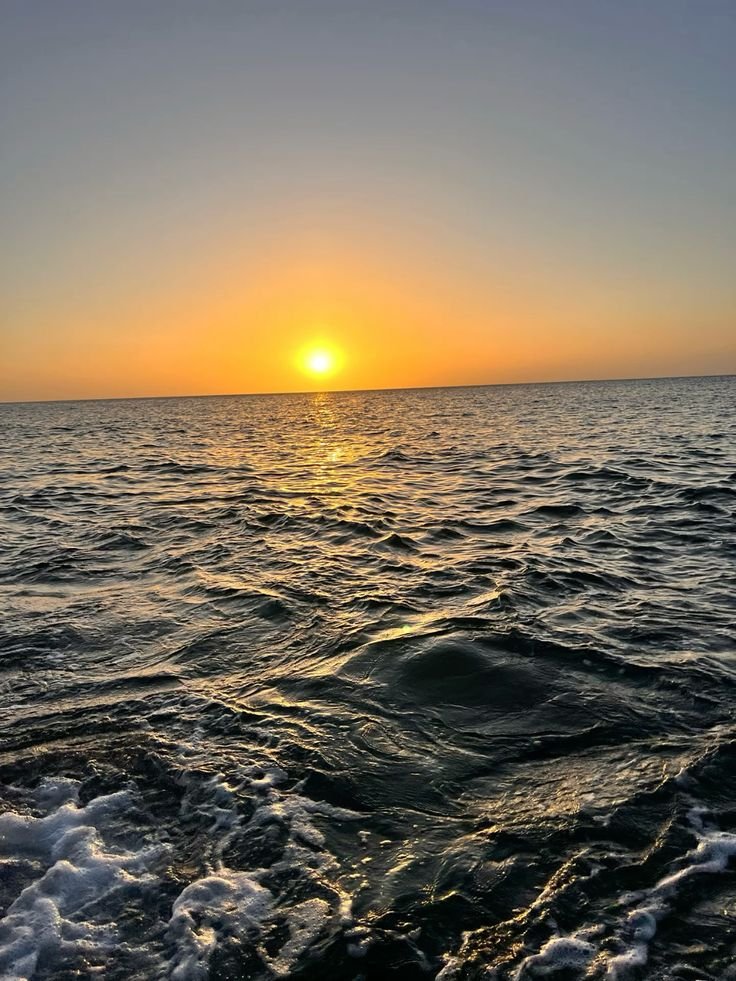 Tour Amanecer en Ponton - Image 10