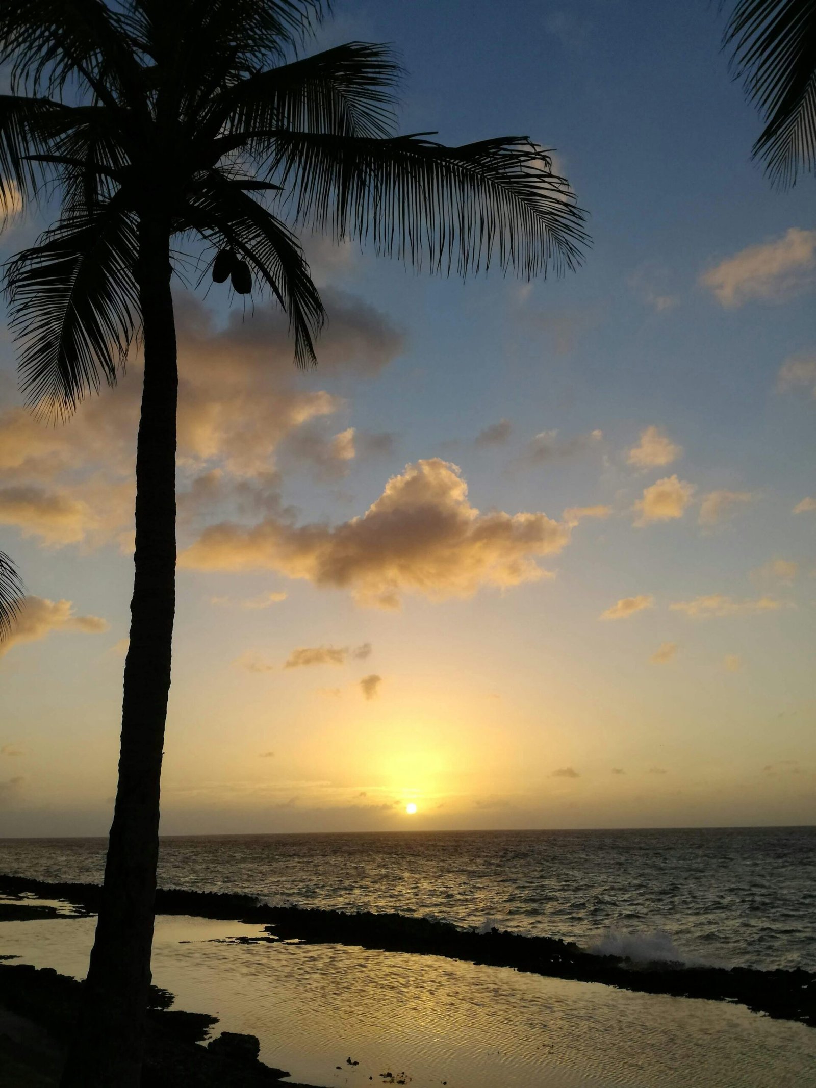 Experience the tranquil beauty of a San Andrés sunset with palm silhouettes and gentle waves.