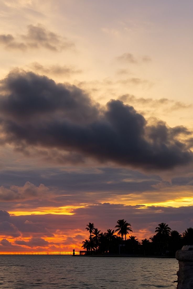 Tour Amanecer en Ponton - Image 11